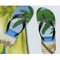 Adult Large Flip Flops (Men's Size 10/ Ladies' Size 11)